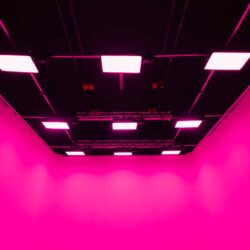 crewproos studios limbo studio rotterdam lichtplafond